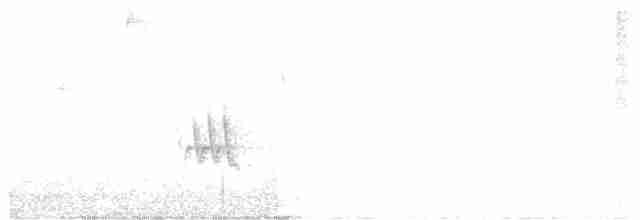 Chivi Vireo (migratory) - ML116032411