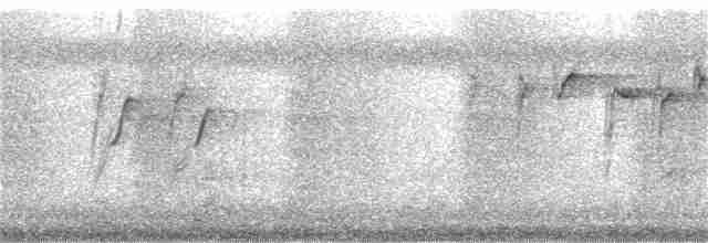 Малабарская нектарница - ML116059301