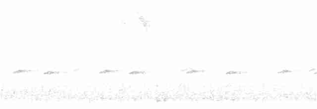 Strichelkopf-Ameisenfänger - ML116188381