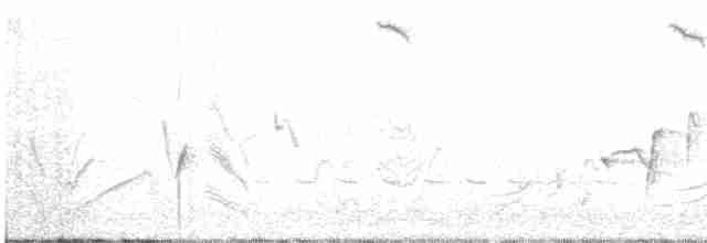 Dusky Woodswallow - ML116200151