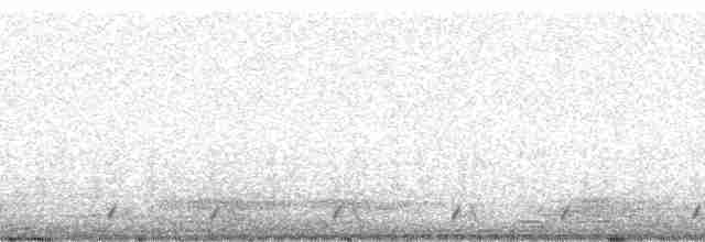 Utah prairie dog - ML116211