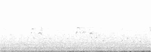 Орлан білоголовий - ML116268561