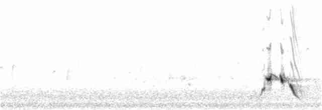 Streifenpanthervogel (striatus) - ML116445431