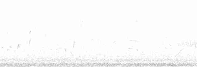 Streifenpanthervogel (striatus) - ML116445451