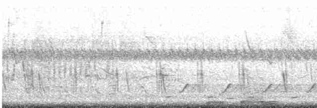 Yellow-necked Spurfowl - ML116477101