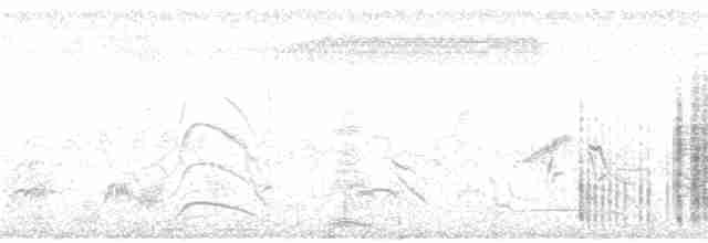 Желтогорлая пищуховая иглохвостка - ML116561561