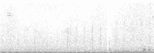 Краснолобая лысуха - ML116562141