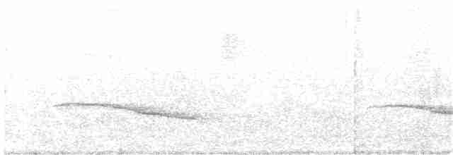 Tufted Antshrike - ML116608301