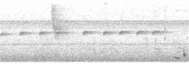 Troglodyte rufalbin - ML116683891