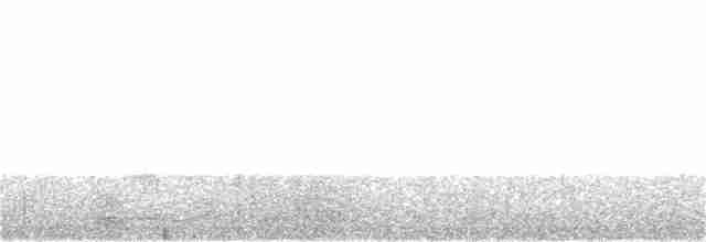 Great Eared-Nightjar - ML116708991