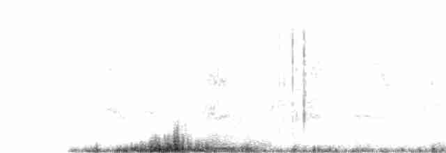 Büyük Kahverengi Kırlangıç - ML116714181