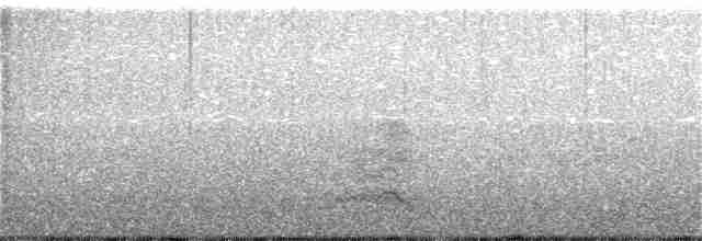 裏海燕鷗 - ML116771571