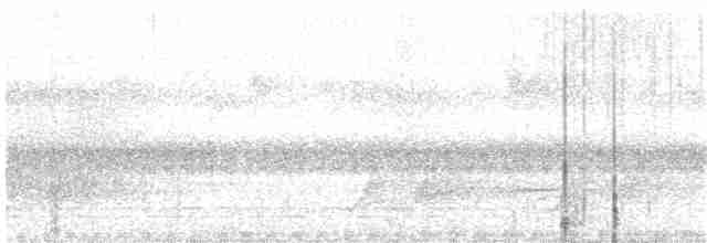Пугач гвінейський (підвид vosseleri) - ML116815321