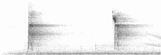 גיבתונית לבנת-גרון - ML116915331