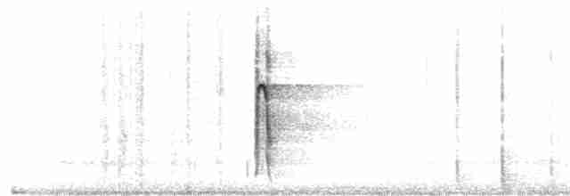 strakapoud americký [skupina villosus] - ML116915431