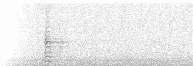 Weißgesicht-Stelzenläufer - ML116984501