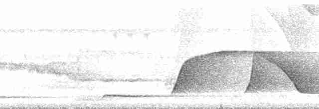 kukačka veverčí [skupina cayana] - ML117116