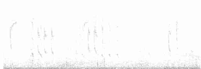 Kara Boğazlı Kolibri - ML117131621
