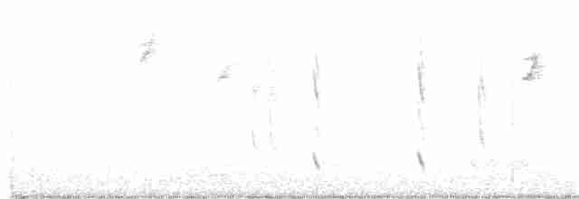 Kara Boğazlı Kolibri - ML117131631