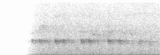 Eufonia Ventricastaña - ML117146741