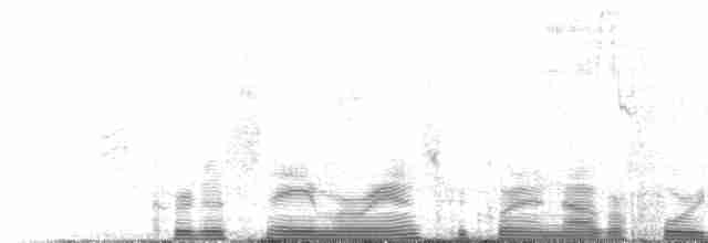 Kaatinga Pufkuşu (maculatus) - ML117173