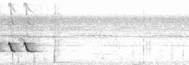 Белокрылый бекард - ML117224