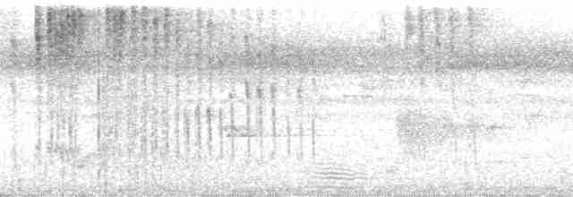 Turuncu Başlı Tangara - ML117247