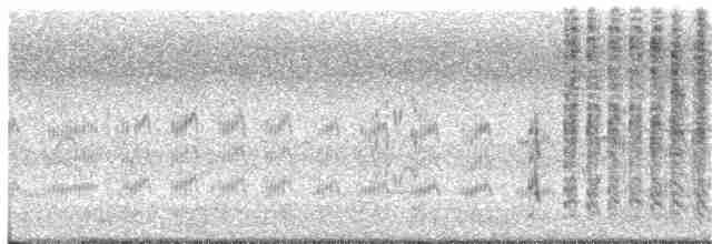 Marsh Wren (paludicola Group) - ML117259181
