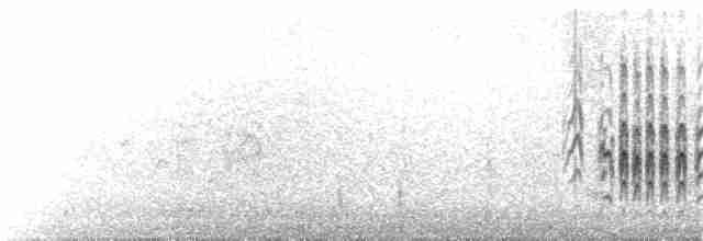 Australian Fairy Tern - ML117260461
