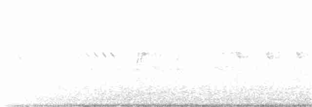 Атласная нектарница - ML117488291