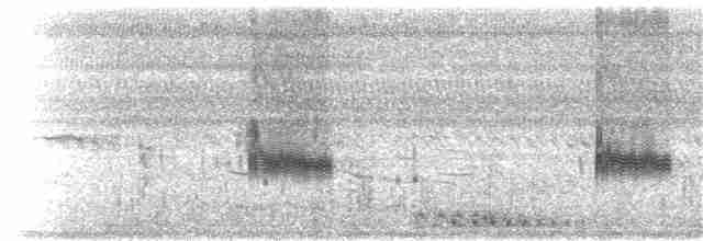 Loggerhead Shrike - ML117507331