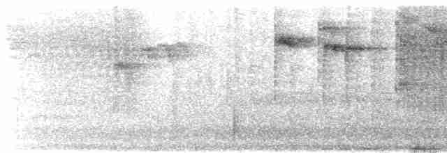 Chevêchette australe - ML117531421