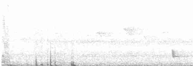 Madagaskarnachtschwalbe - ML117565171