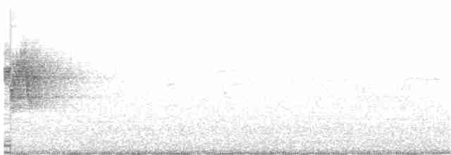 Африканский черноголовый чекан - ML117570231
