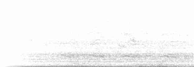Ібіс сивоперий - ML117606171