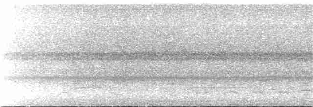 Undulated Tinamou - ML117749301