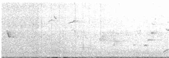 Australian Owlet-nightjar - ML117765361