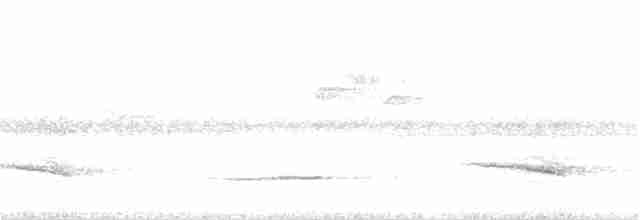 Doğulu Kerpetenkuşu - ML117784091