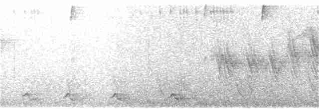 Oriole Whistler - ML117939541