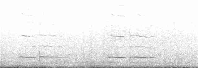 Tinamou de Patagonie - ML117993911