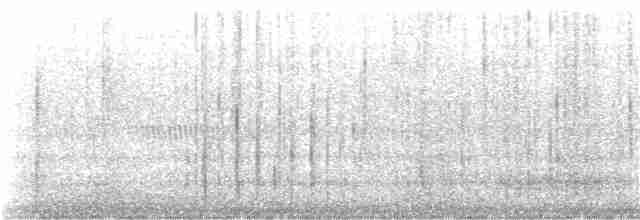Bruant chanteur (melodia/atlantica) - ML118005031