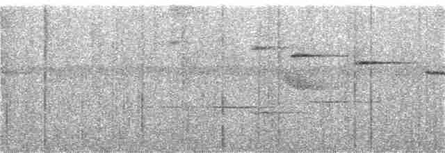 holub žlutonohý - ML118108471