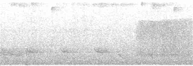 Oriole Whistler - ML118123741