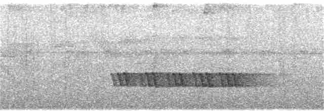 Oriole Whistler - ML118124261