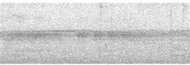 Кустарниковая кукушка - ML118152671