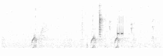 Kara Kulaklı Hemispingus - ML118313861