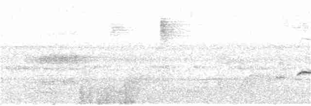 Белокрылая веерохвостка - ML118372191