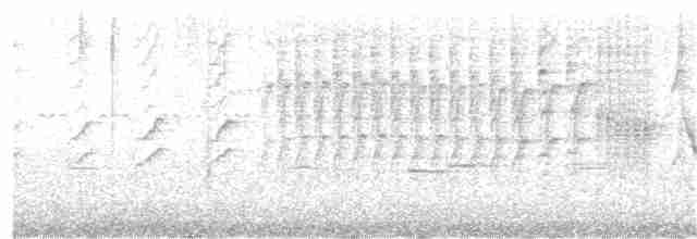 Kestane Karınlı Koca Tohumcul - ML118402191