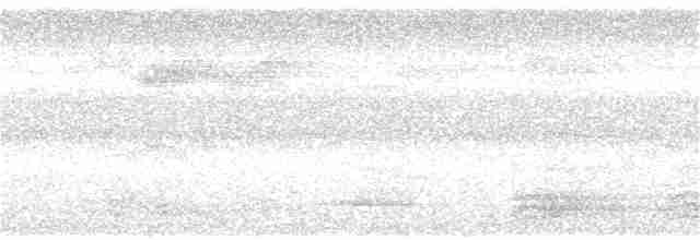 Oriole Whistler - ML118470571