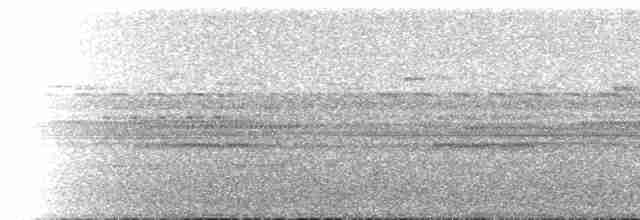 ML118479611 visualization